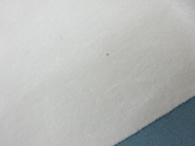  塩瀬金駒刺繍曲線に実模様名古屋帯